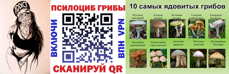 Галлюциногенные грибы прущие грибы  Кызыл 