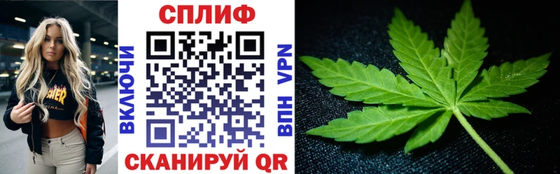 Марихуана сатива  Кызыл 